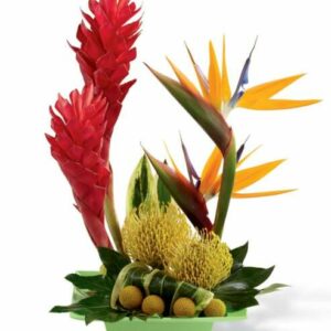 Flowers - Tropical Sublime Arrangement - Regular