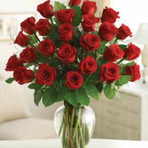 Flowers - Two Dozen Premium Long Stem Red Roses - Regular