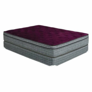 Furniture of America Bo Fabric 13-Inch King Euro Pillow Top Mattress i