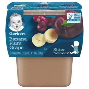 Gerber 2nd Foods Tubs Banana Plum Grape - 4.0 oz x 2 pack