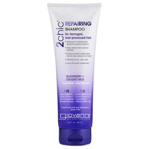 Giovanni 2chic Repairing Shampoo Blackberry & Coconut Milk - 8.5 oz