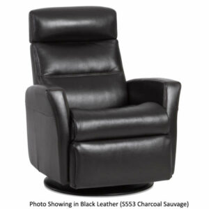 IMG Divani Sauvage Charcoal Leather Large Power Recliner with Chaise