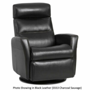 IMG Divani Sauvage Charcoal Leather Small Power Recliner with Chaise