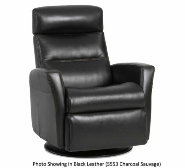IMG Divani Sauvage Charcoal Leather Small Power Recliner with Chaise