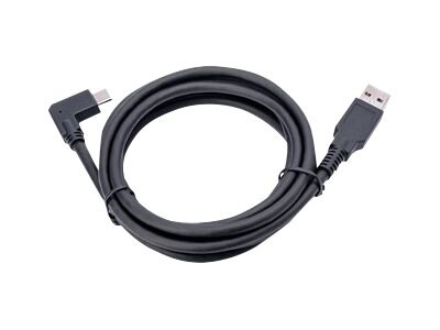 Jabra PanaCast USB cable - 6 ft