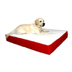 Majestic Pet Products Orthopedic Double Pet Bed 34x48 inch - 1.0 ea