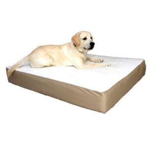 Majestic Pet Products Orthopedic Double Pet Bed Large/Extra Large, 34x48 inch - 1.0 ea