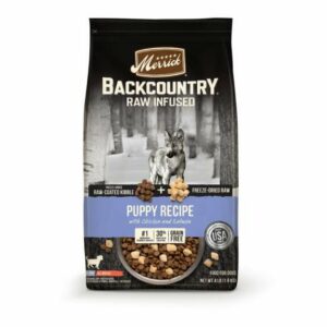 Merrick Backcountry Raw Infused Grain Free Freeze-Dried Puppy Recipe Dry Dog Food