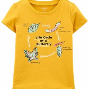 Metamorphosis Butterfly Jersey Tee