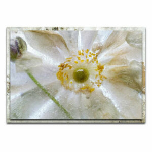 Modern Farmhouse Floral 'Floral Freeze Distressed Frame' - Chic Home D