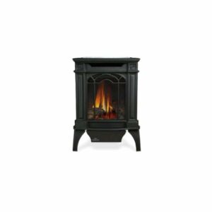 Napoleon GDS20SB 20000 BTU Free Standing Direct Vent Natural Gas Stove with Safety Barrier and Millivolt Ignition Black Stove Free Standing Natural