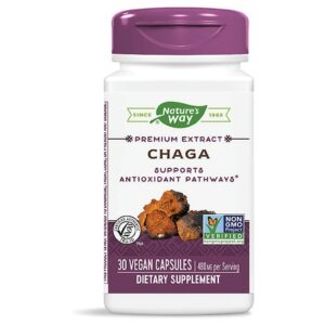 Nature's Way Chaga Premium Extract Vegan Capsules - 30.0 EA