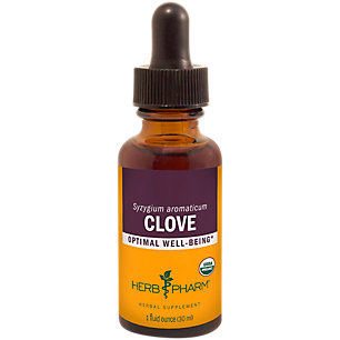 Organic Clove Extract - Herbal Supplement for Optimal Well-Being (1 Fluid Ounce)
