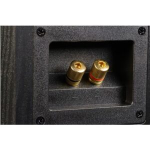 Pioneer Andrew Jones Bookshelf Speakers (pair)