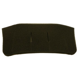 Post Motor Filter for Zing Bagged Canister Vacuum