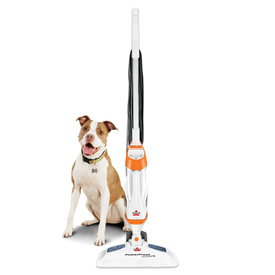 PowerFresh Pet Lift-Off Steam Mop