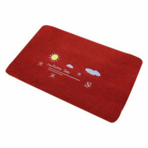 Simple Door Mat Home Mat Living Room Bathroom Kitchen Non-slip Mat Sun