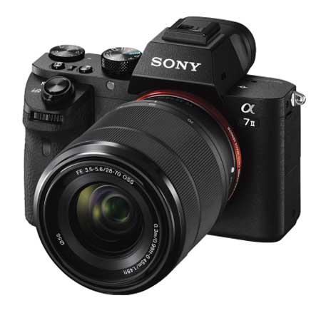 Sony Professional Capability Full-Frame Mirrorless Camera