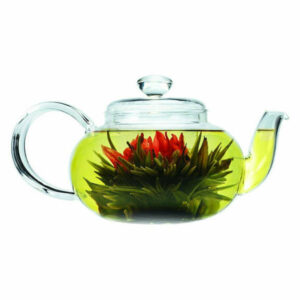 Stove-top Safe Brosilicate Glass Teapot 22 Oz with Infuser