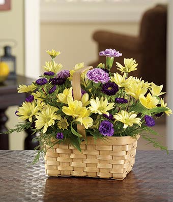 Sunshine Daisy Basket - Regular