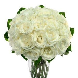 Two Dozen White Roses - Regular