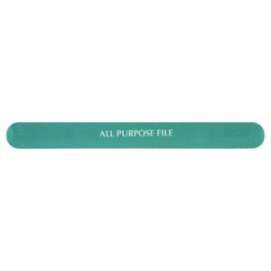 Walgreens Beauty All-Purpose File & Smoother - 1.0 ea