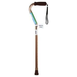 Walgreens Offset Cane - 1.0 ea