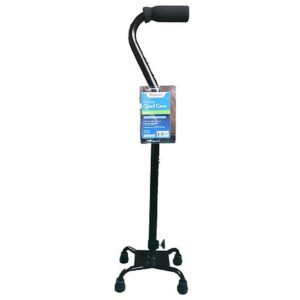 Walgreens Small Base Quad Cane - 1.0 ea