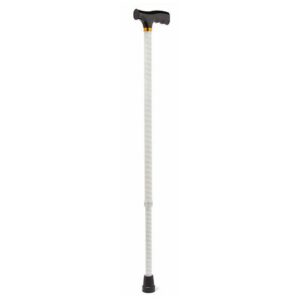 Walgreens T-Handle Cane, Wing Print, White - 1.0 ea