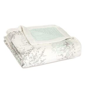 aden + anais metallic skylight birch silky soft dream blanket