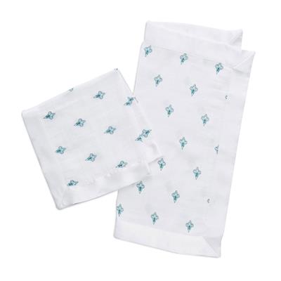 aden + anais paisley - teal 2-pack classic security blankets