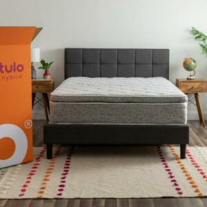 tulo California King Hybrid 12 Inch Plush Mattress