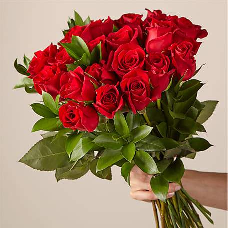 24 Red Roses Bouquet no vase
