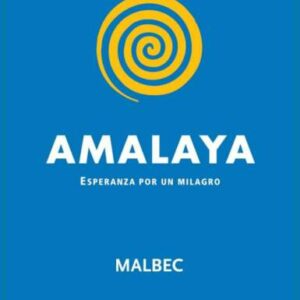 Amalaya 2018 Malbec - Red Wine