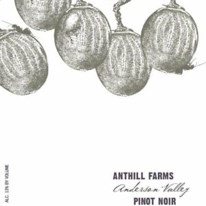 Anthill Farms 2017 Anderson Valley Pinot Noir - Red Wine