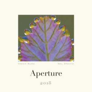 Aperture 2018 Chenin Blanc - White Wine