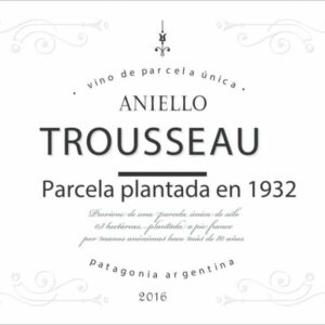 Bodega Aniello 2016 Trousseau - Red Wine