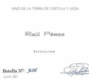 Bodegas Raul Perez 2011 Tierra de Leon Tinto - Red Wine