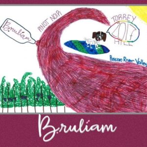 Bruliam Wines 2017 Torrey Hill Vineyard Pinot Noir - Red Wine