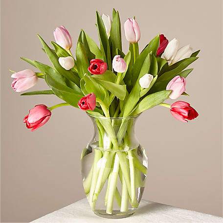 Budding Love Tulip Bouquet Original With Vase
