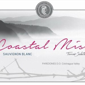 Casas del Toqui 2018 Coastal Mist Sauvignon Blanc - White Wine