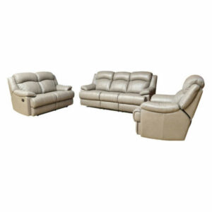 Clarence 3-Piece Leather Living Room Set, Gray