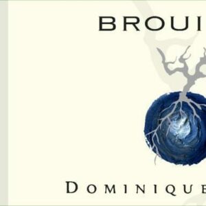 Dominique Piron 2017 Brouilly - Gamay Red Wine