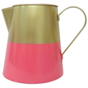 Festive Voice Garden Watering Can - 1.0 ea