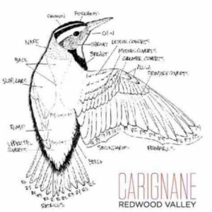 Folk Machine 2018 Carignane - Red Wine