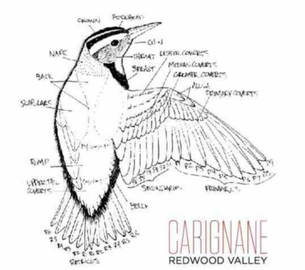 Folk Machine 2018 Carignane - Red Wine
