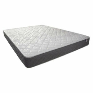 Furniture of America Don Foundation Fabric Twin Tight Top Mattress in