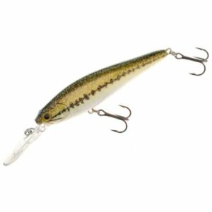 H2O XPRESS Suspending Jerk Bait Baby Bass - Frsh Water Hard Baits at Academy Sports