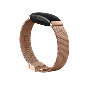 Inspire 2 Stainless Steel Mesh (Rose Gold Stainless Steel)