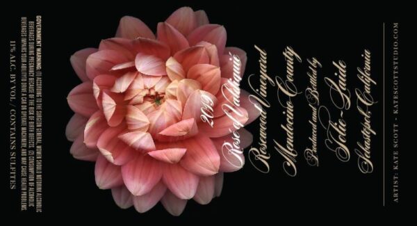 Jolie-Laide 2019 Rose of Valdiguie - Rosé Rosé Wine